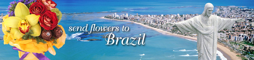 send flowers to Brazil