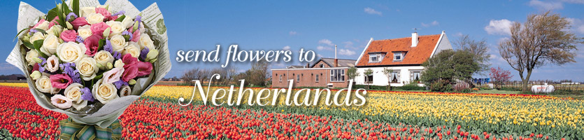 send flowers to Netherlands