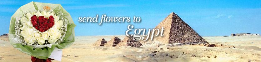 send flowers to Egypt