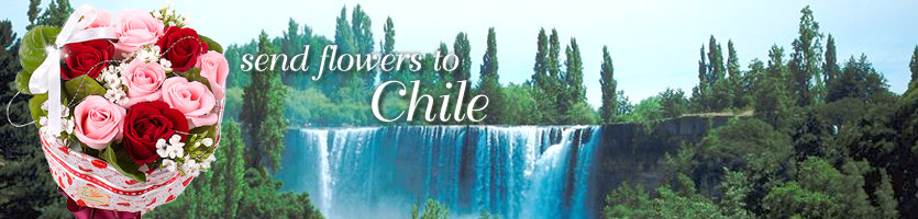 send flowers to Chile