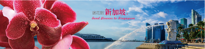 送花至 新加坡
