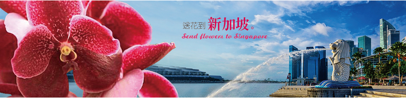 送花至 新加坡