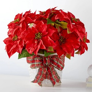 Happiest Holidays Poinsettia 送花到台灣,送花到大陸,全球送花,國際送花