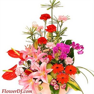 恩泽无限 送花到台湾,送花到上海,全球送花,国际送花