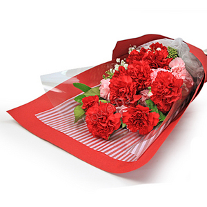 馨爱妈咪_康乃馨玫瑰花束 送花到台湾,送花到上海,全球送花,国际送花
