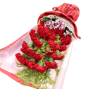 我爱妈咪康乃馨花束 送花到台湾,送花到上海,全球送花,国际送花