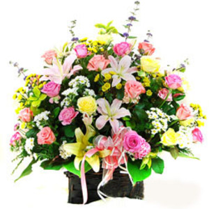 喜遇精致盆花 送花到台湾,送花到上海,全球送花,国际送花