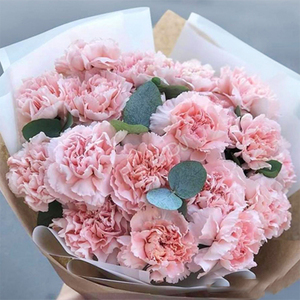 Happy Mother′s Day_Carnation Bouquet 1 送花到台灣,送花到大陸,全球送花,國際送花