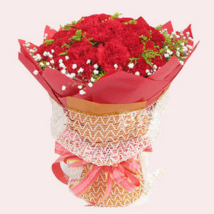 Respect-Red Carnations 送花到台灣,送花到大陸,全球送花,國際送花