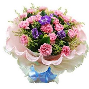 Kindly-Pink Carnations 送花到台灣,送花到大陸,全球送花,國際送花