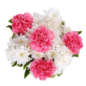 祝妳好馨情-康乃馨、菊花 送花到台灣,送花到大陸,全球送花,國際送花