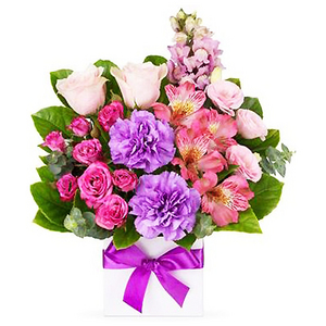 恬靜馨情-康乃馨、菊花 送花到台灣,送花到大陸,全球送花,國際送花