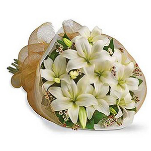 纯白-白色百合花束 送花到台湾,送花到上海,全球送花,国际送花