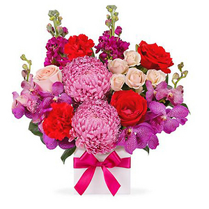 Lily Pink Rose Potted Flower 送花到台灣,送花到大陸,全球送花,國際送花