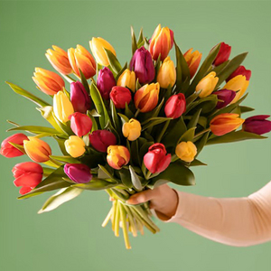 心选郁金香 送花到台湾,送花到上海,全球送花,国际送花