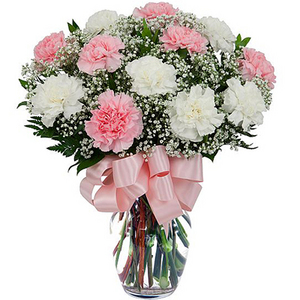 康乃馨综合盆花 送花到台湾,送花到上海,全球送花,国际送花