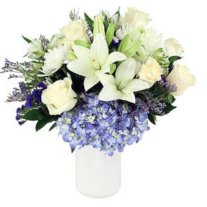 淡蓝的美 送花到台湾,送花到上海,全球送花,国际送花