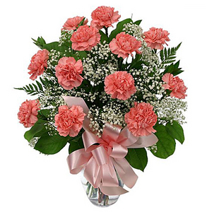 粉色康乃馨(瓶花) 送花到台湾,送花到上海,全球送花,国际送花
