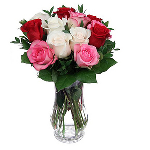 真愛-混色玫瑰 送花到台灣,送花到大陸,全球送花,國際送花