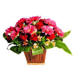 绚丽馨福盆花 送花到台湾,送花到上海,全球送花,国际送花