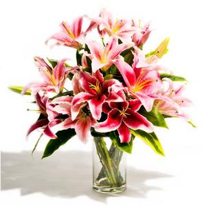 Pink Blush-Lilies 送花到台灣,送花到大陸,全球送花,國際送花