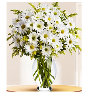 Pure White 送花到台灣,送花到大陸,全球送花,國際送花