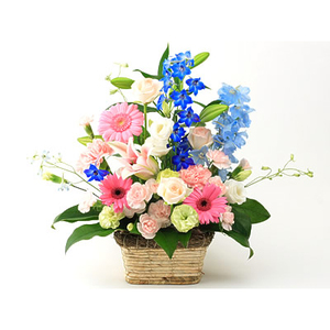 設計師精選綜合盆花 送花到台灣,送花到大陸,全球送花,國際送花