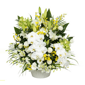 白色思念 送花到台灣,送花到大陸,全球送花,國際送花