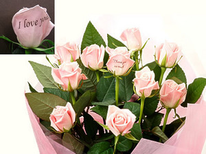情書-玫瑰 送花到台灣,送花到大陸,全球送花,國際送花