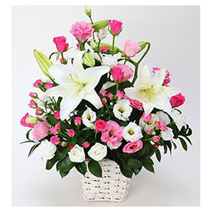 春光灩彩盆花 送花到台灣,送花到大陸,全球送花,國際送花