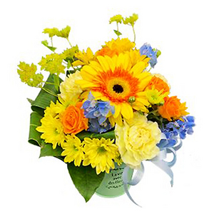sunflower paradise 送花到台灣,送花到大陸,全球送花,國際送花