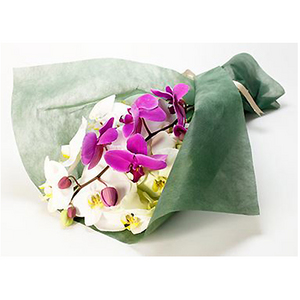 Mixed orchid bouquet 送花到台灣,送花到大陸,全球送花,國際送花