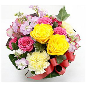 Design selected seasonal potted flowers 送花到台灣,送花到大陸,全球送花,國際送花
