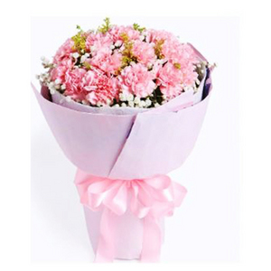 Carnation Bouquet 送花到台灣,送花到大陸,全球送花,國際送花