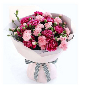 sweet carnation 送花到台灣,送花到大陸,全球送花,國際送花