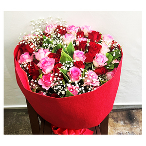 red and pink friendship-52 roses 送花到台灣,送花到大陸,全球送花,國際送花