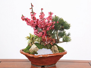 Pine&Bamboo&Plum 送花到台灣,送花到大陸,全球送花,國際送花