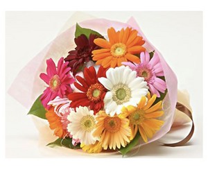 Ebullient 12 送花到台灣,送花到大陸,全球送花,國際送花