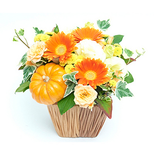 萬聖節創意盆花 送花到台灣,送花到大陸,全球送花,國際送花