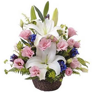 百合精緻盆花 送花到台灣,送花到大陸,全球送花,國際送花