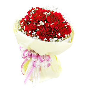 康乃馨花束 送花到台湾,送花到上海,全球送花,国际送花