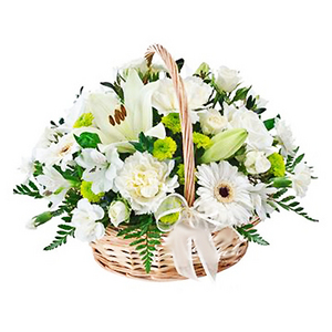 Missing you - condolence potted flower 送花到台灣,送花到大陸,全球送花,國際送花