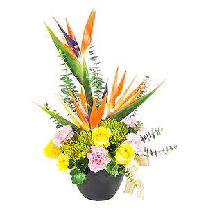 天堂鸟祝贺盆花 (吉隆坡和雪兰莪限定) 送花到台湾,送花到上海,全球送花,国际送花