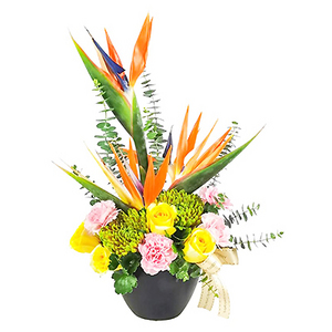 Bird of Paradise Congratulations  Flower (KL and Selangor only) 送花到台灣,送花到大陸,全球送花,國際送花