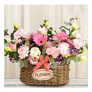 康乃馨盆花 送花到台湾,送花到上海,全球送花,国际送花