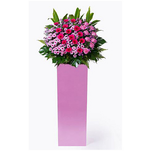 杰出开端-祝贺高架花篮 送花到台湾,送花到上海,全球送花,国际送花