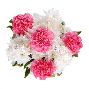 祝妳好馨情-康乃馨、菊花 送花到台灣,送花到大陸,全球送花,國際送花