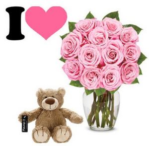 可爱小熊+12朵粉玫花礼 送花到台湾,送花到上海,全球送花,国际送花