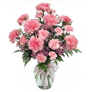 粉色康乃馨 送花到台湾,送花到上海,全球送花,国际送花