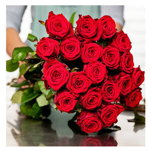 Passionate red rose 送花到台灣,送花到大陸,全球送花,國際送花